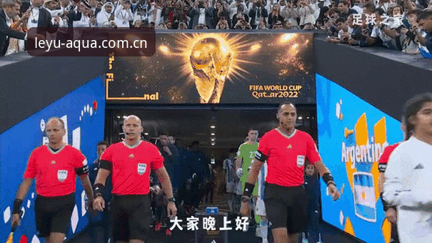 乐鱼修复登录安装失败 世界杯安保策略调整解读教程——在乐鱼体育平台深入了解赛事安保新动态