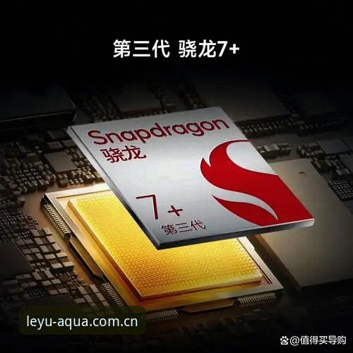 乐鱼体育平台安全性深度分析：2025新版与用户体验全解析