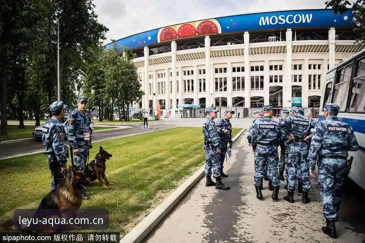 乐鱼旧版入口 乐鱼体育平台看世界杯安保:英国警员缩减事件解读教程